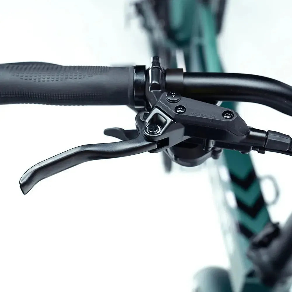 ENGWE Engine Pro 2.0 -  Groen