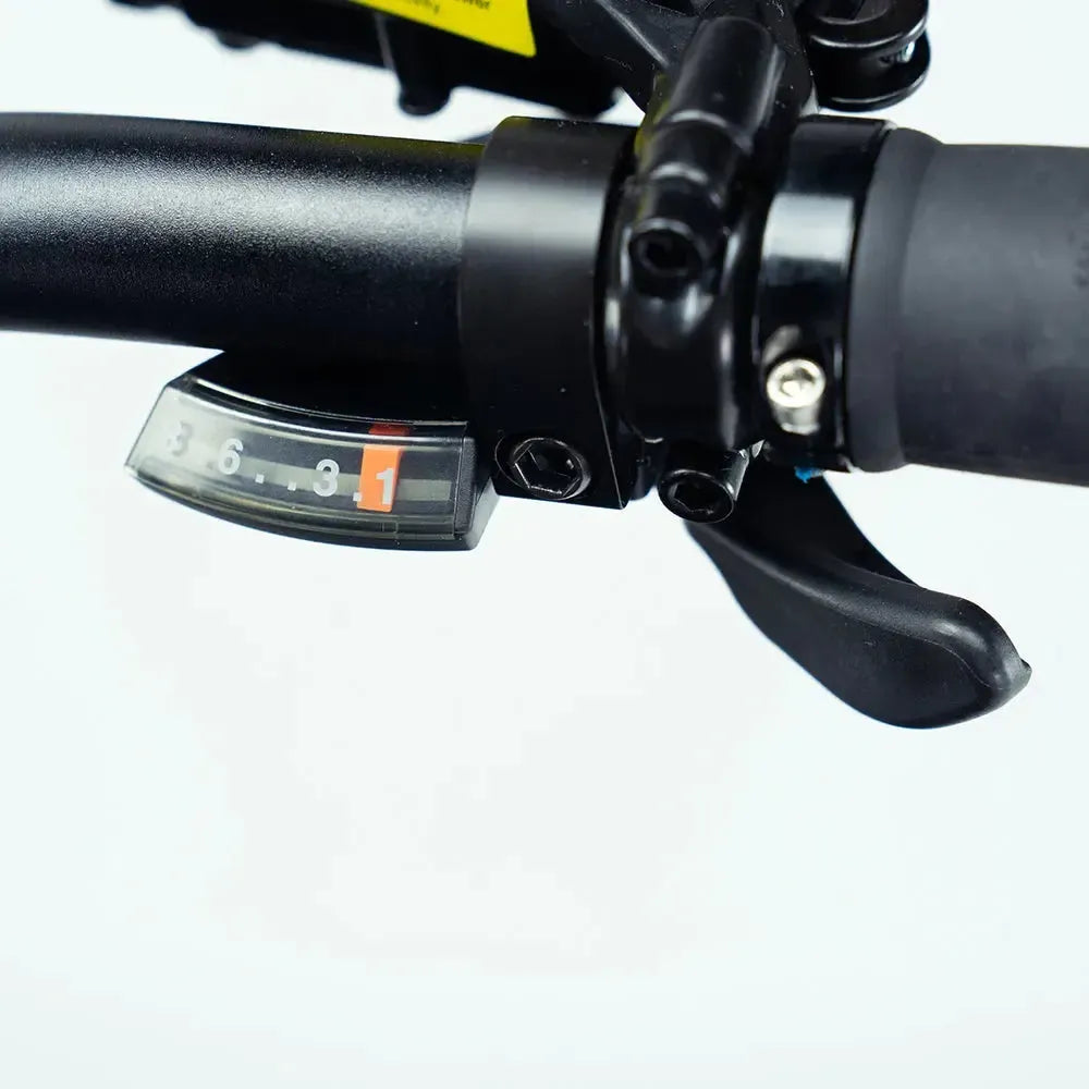 ENGWE Engine Pro 2.0 -  Zwart