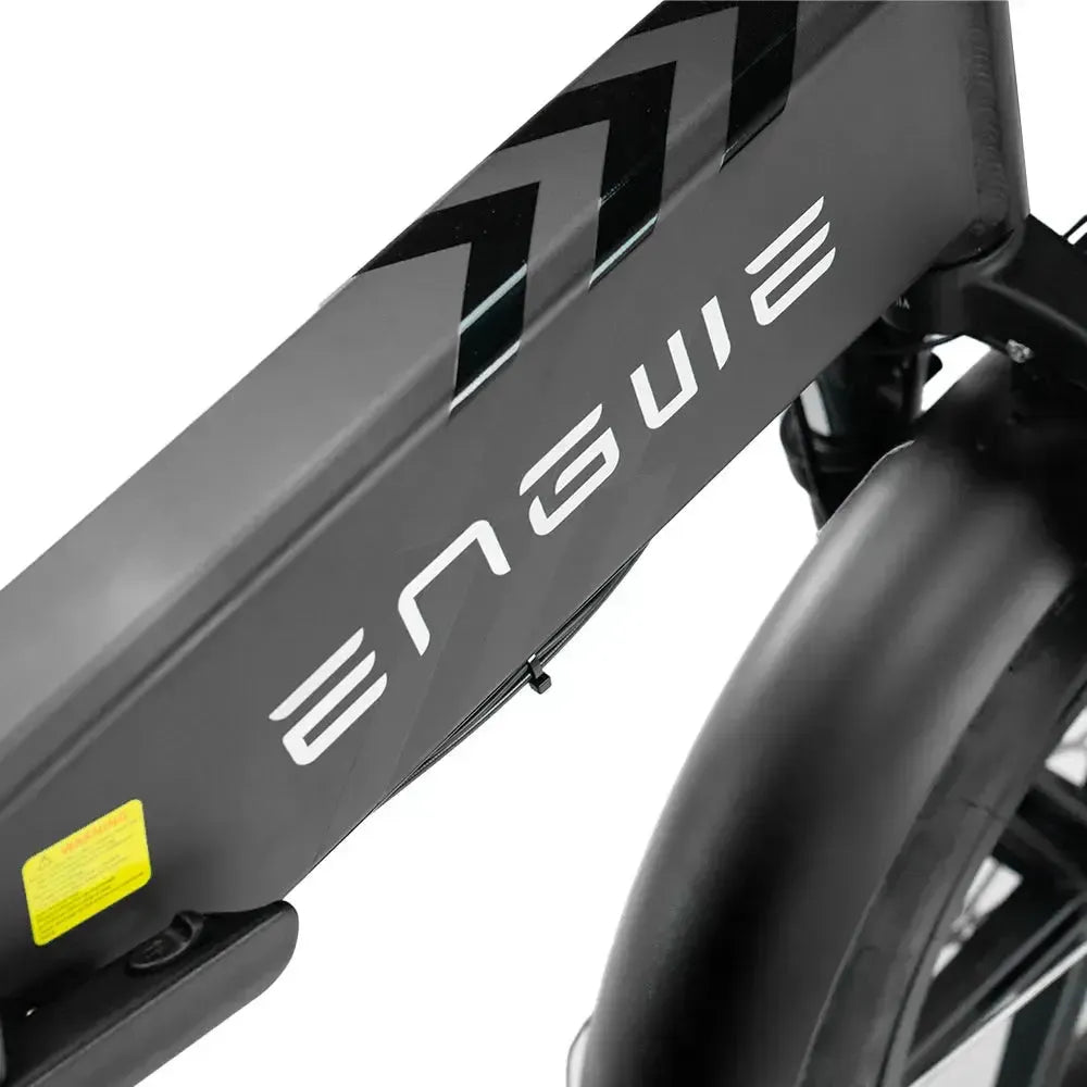 ENGWE Engine Pro 2.0 -  Zwart