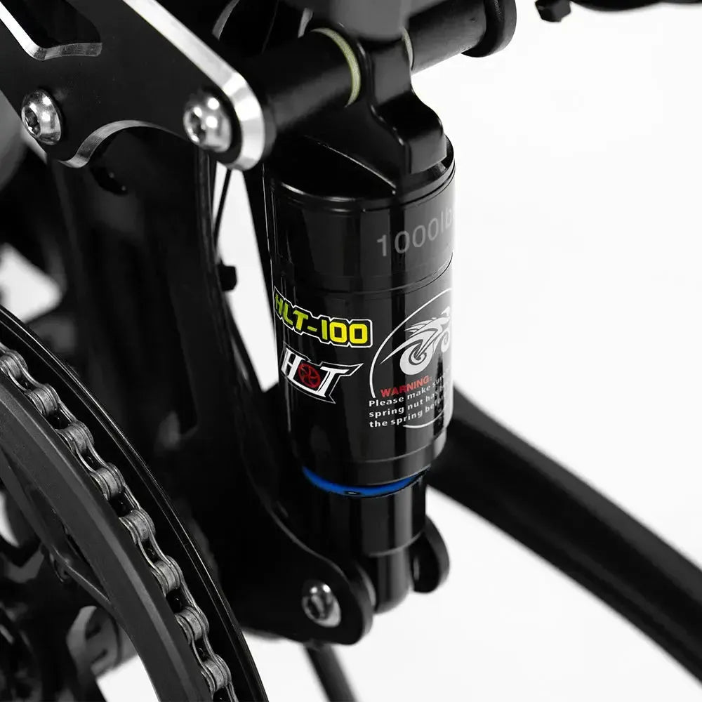 ENGWE Engine Pro 2.0 -  Zwart