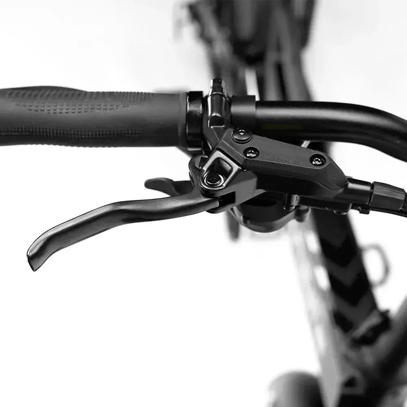 ENGWE Engine Pro 2.0 -  Zwart