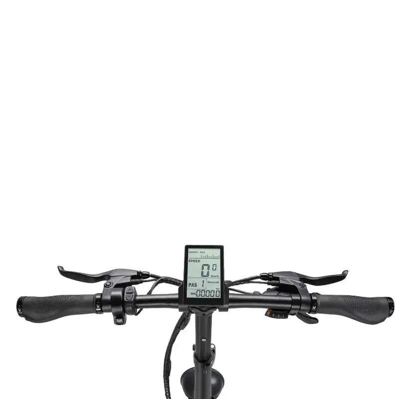 RKS La rose - Antrasiet