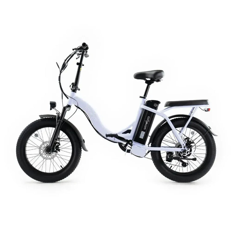 Windgoo E20 - Lichtpaars